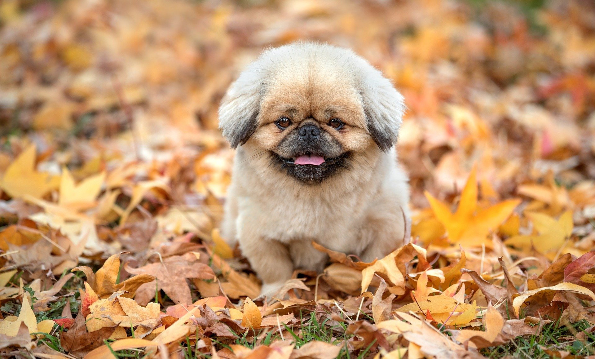 Modi alias consequuntur.